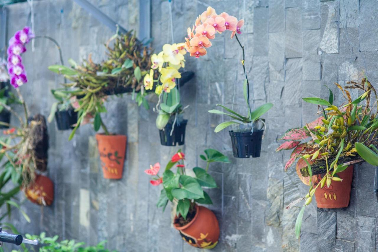 Flower Apartment Da Nang Dış mekan fotoğraf